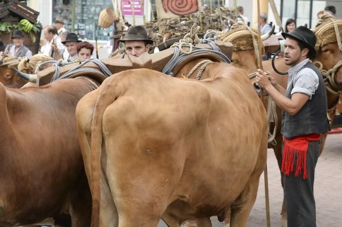 ROMERIA DE GALDAR