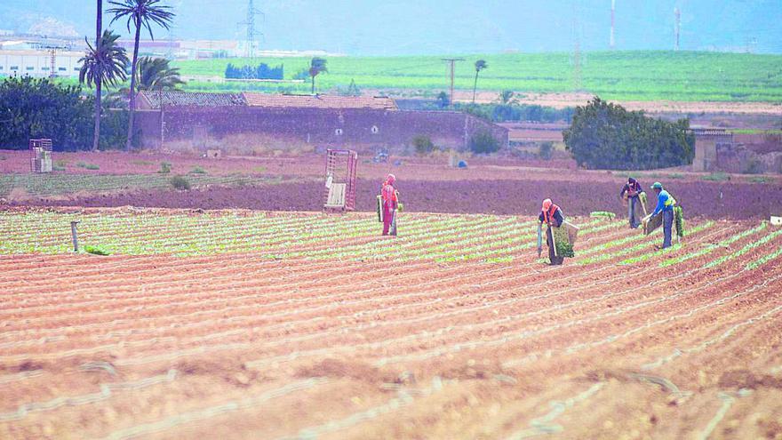 Los contagios en Los Alcázares y Torre Pacheco son &quot;importados&quot;