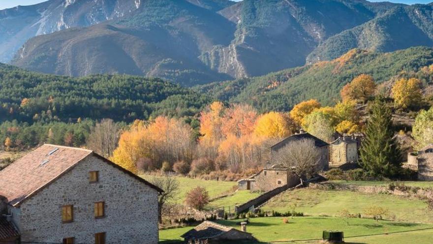 IU se opone a la pista forestal entre Bara y Las Bellostas, en Huesca