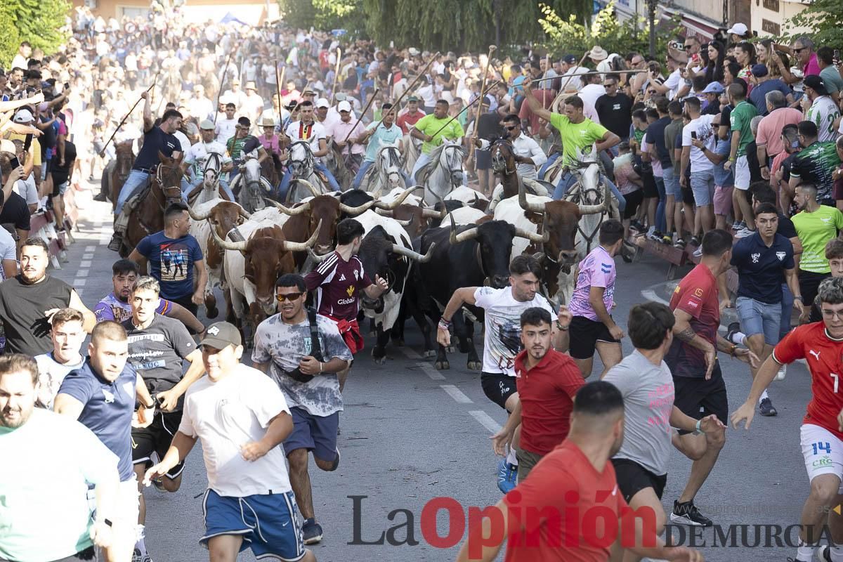 El segundo encierro de las Fiestas de Moratalla se salda con un herido