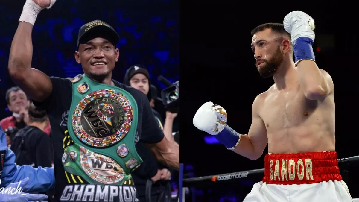 Sandor Martín vs Alberto Puello: cuándo es, horario y dónde ver por TV y online el combate por el título mundial de boxeo