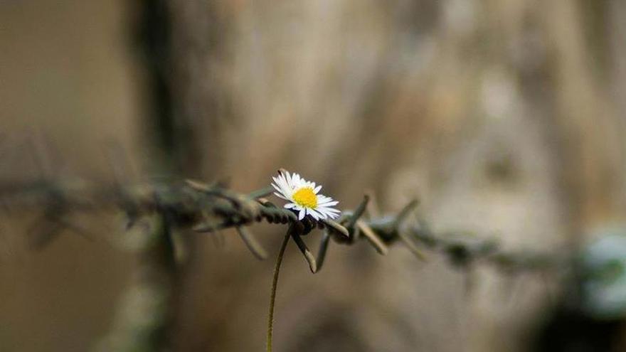 &#039;Vive, aun en un mal camino&#039; gana el concurso de fotografía medioambiental de la Fguma