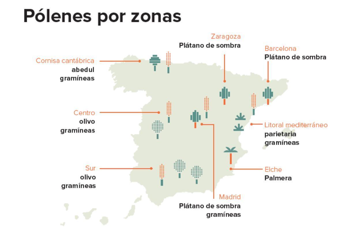 Mapa de pólenes por zonas