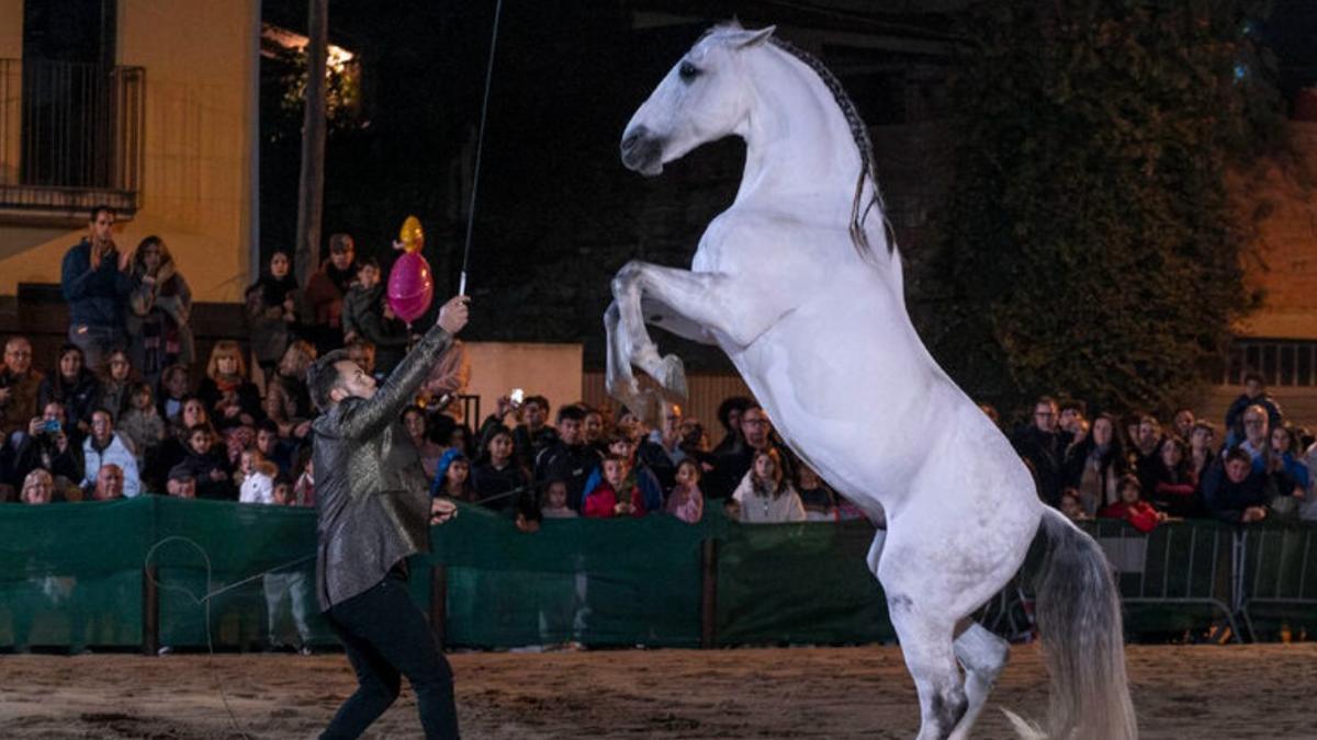 Una exhibició eqüestre, en una passada edició.
