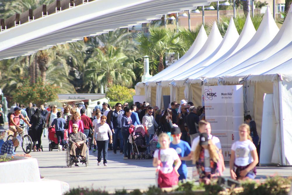 "Un paseo por la ciencia" en Torrevieja