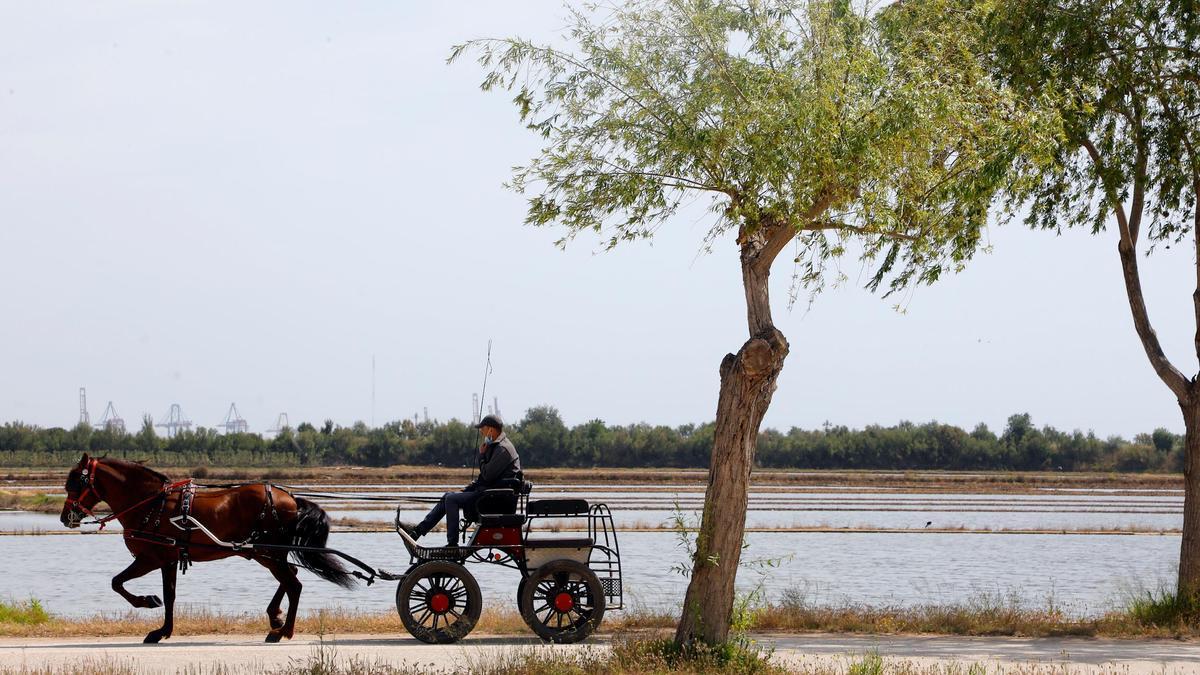 Un hombre pasea con su caballo por el puerto de Catarroja en l’Horta Sud.