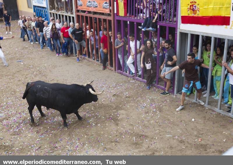 GALERÍA DE FOTOS -- Almassora se vuelca con las fiestas del Roser