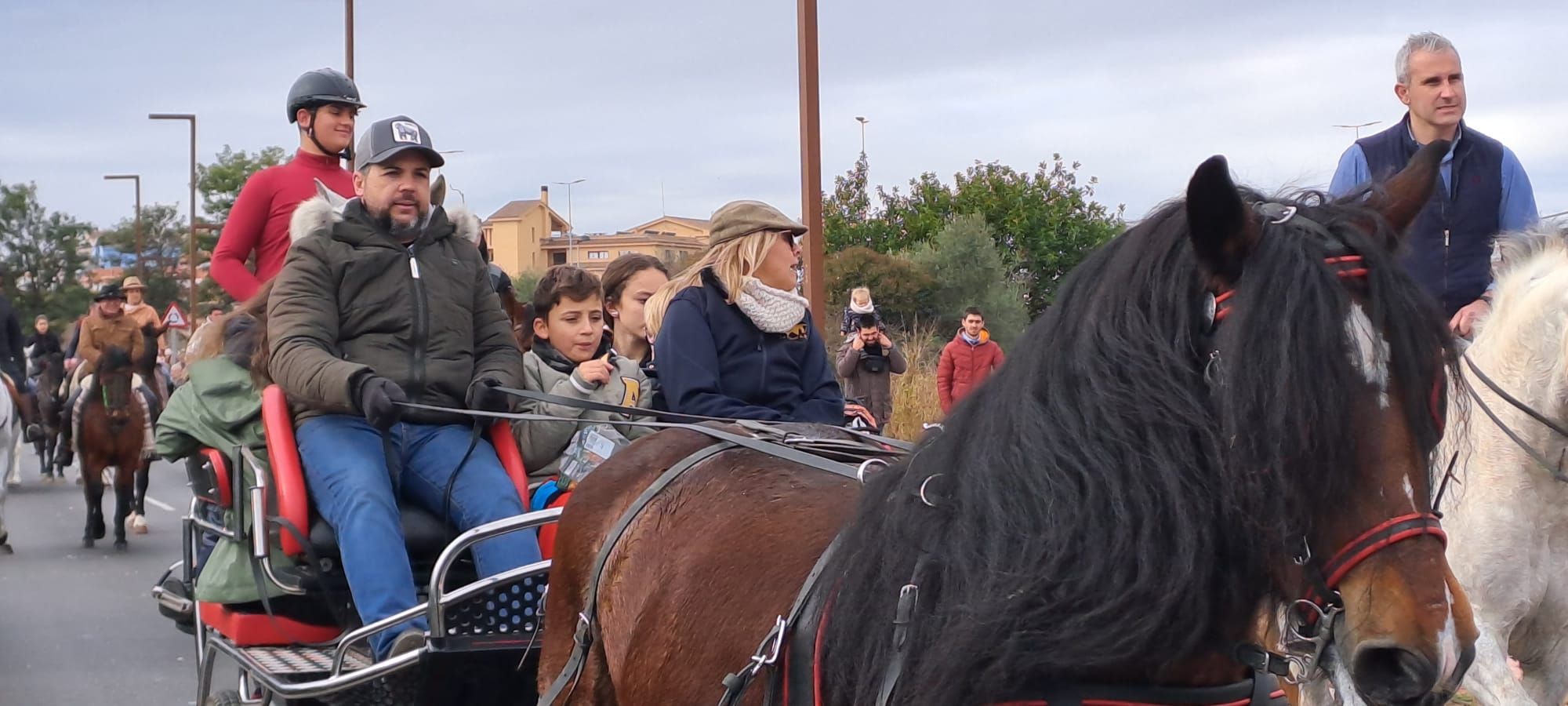 Galería de fotos: Castelló se vuelca con la procesión de Sant Antoni a la Mare de Déu del Lledó