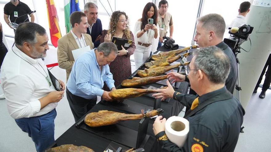 El jurado valora las piezas presentadas al concurso.