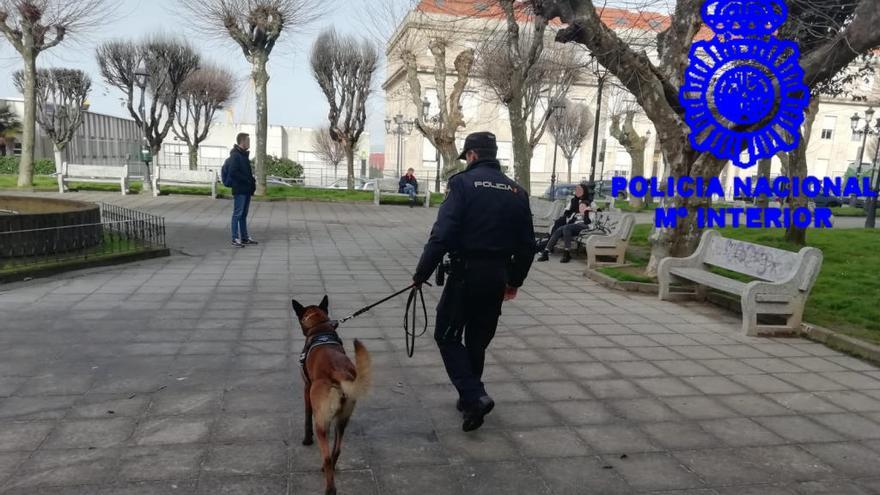 Un agente de la Unidad de Guías Caninos de la Policía Nacional en Torrecedeira. // CNP
