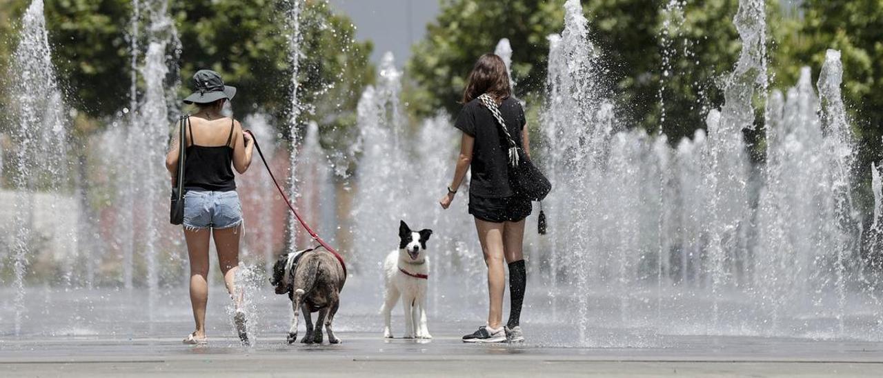 Sanidad activa la alerta por ola de calor en municipios de 25 comarcas