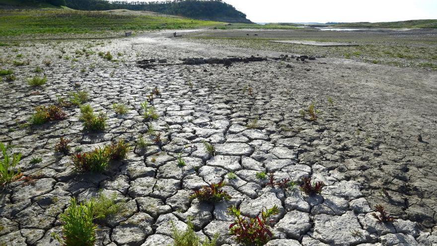 Tierra de cultivo expuesta a la sequía.