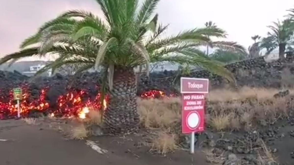 La lava del volcán de La Palma arrasa Todoque