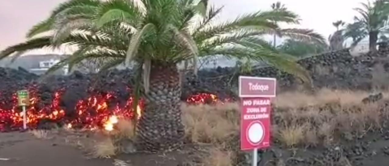 La lava del volcán de La Palma arrasa Todoque