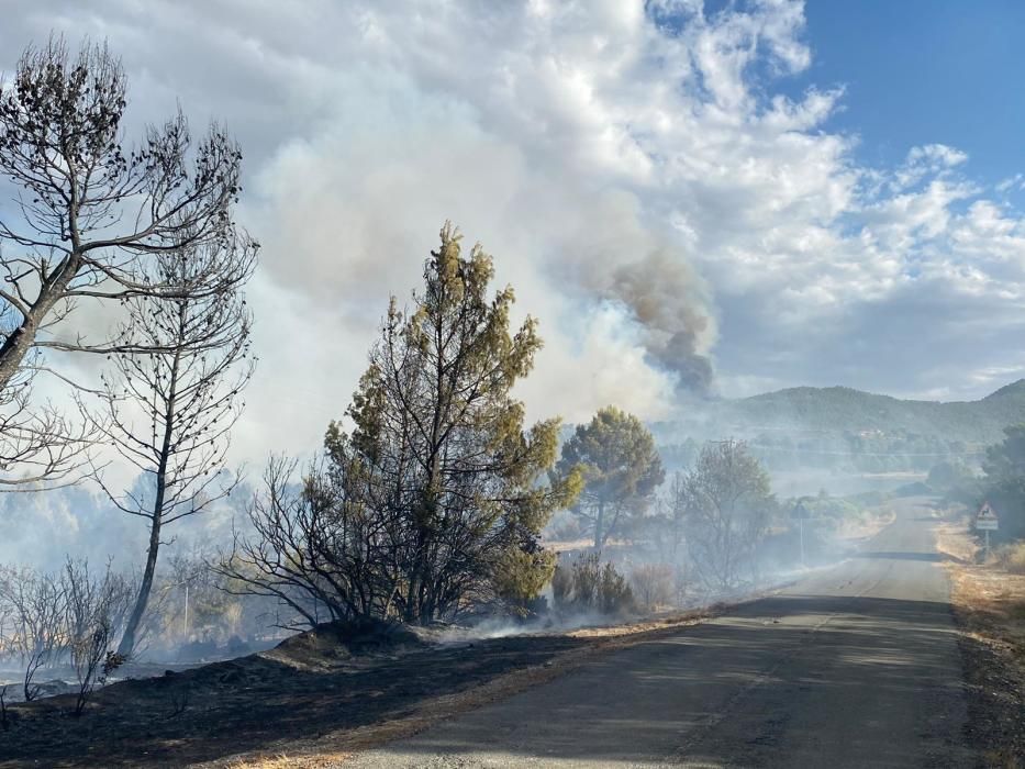 Un incendio en Mula alerta a los bomberos por su c