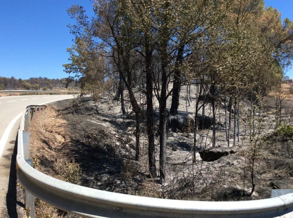 El punt on va començar el foc, a peu de carretera