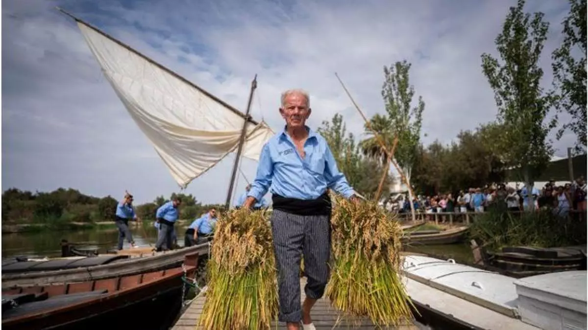 Arroz a 5 euros, paseos en barca y showcooking: el plan para este domingo en l’Albufera