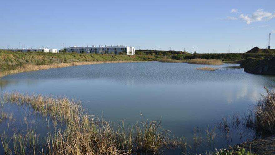 La laguna de Soliva, antes de ser desecada.