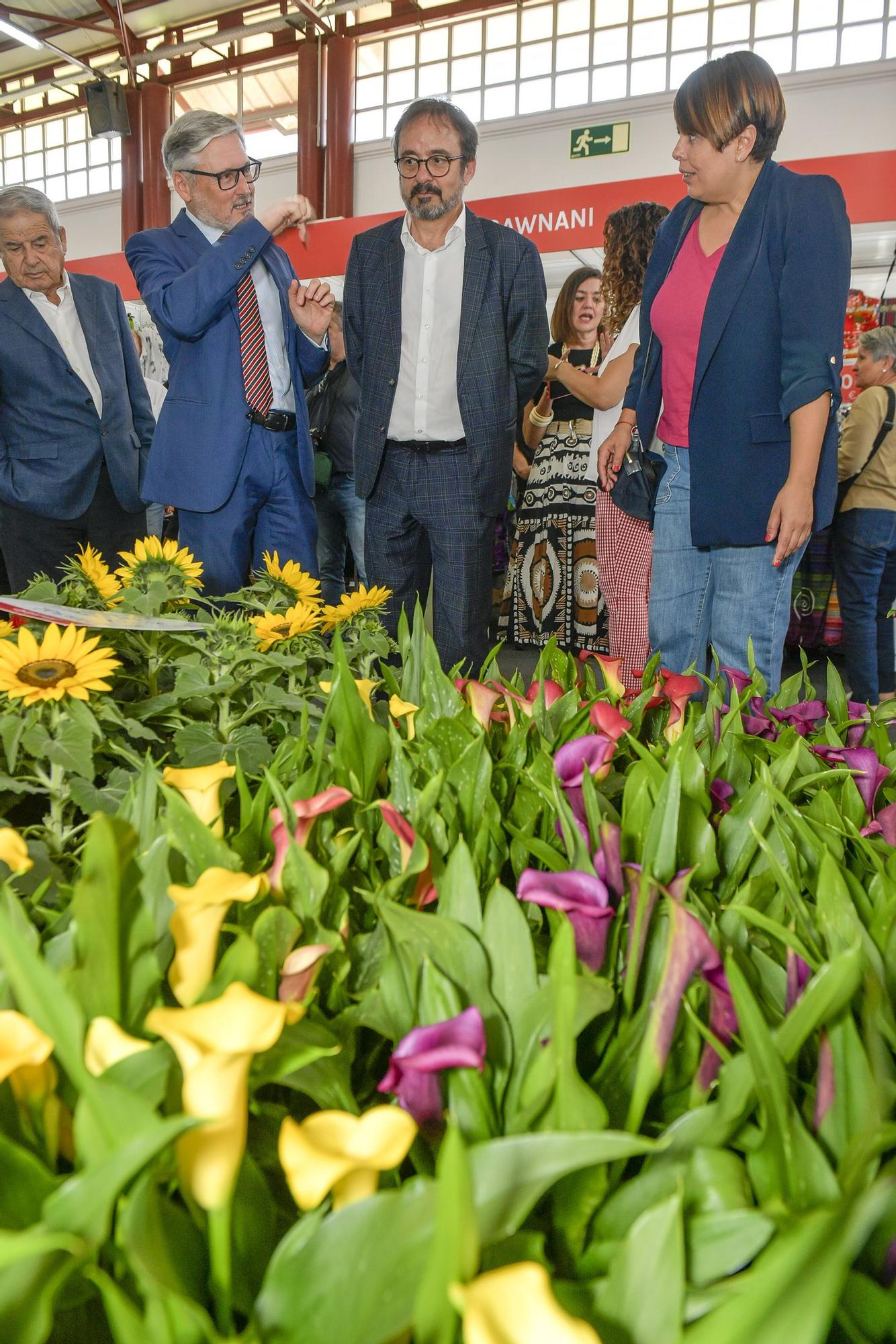 Feria de oportunidades Fisaldo Gran Canaria 2023