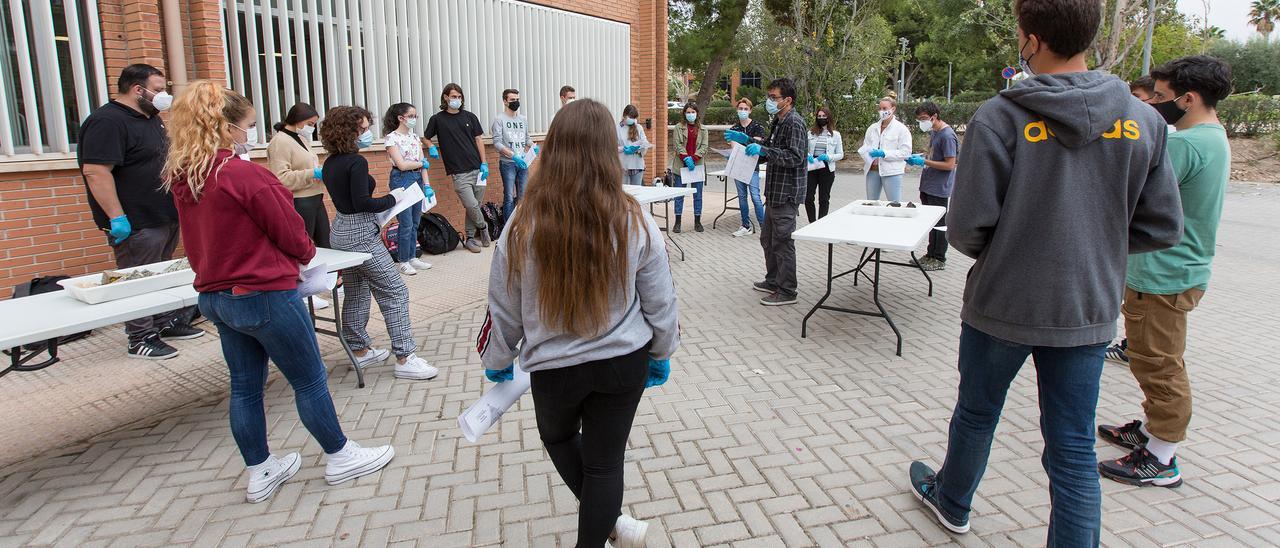 Prácticas al aire libre en la UA