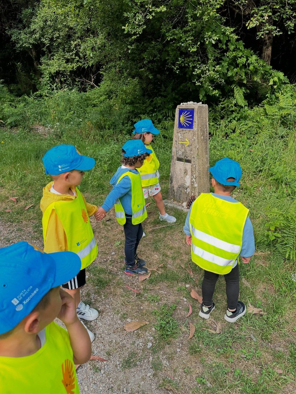 La peregrinación de los niños del CRA de Valga por el Camiño Portugués.