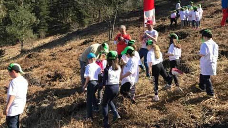 Los alumnos del colegio Prieto Bances reforestan La Degollada