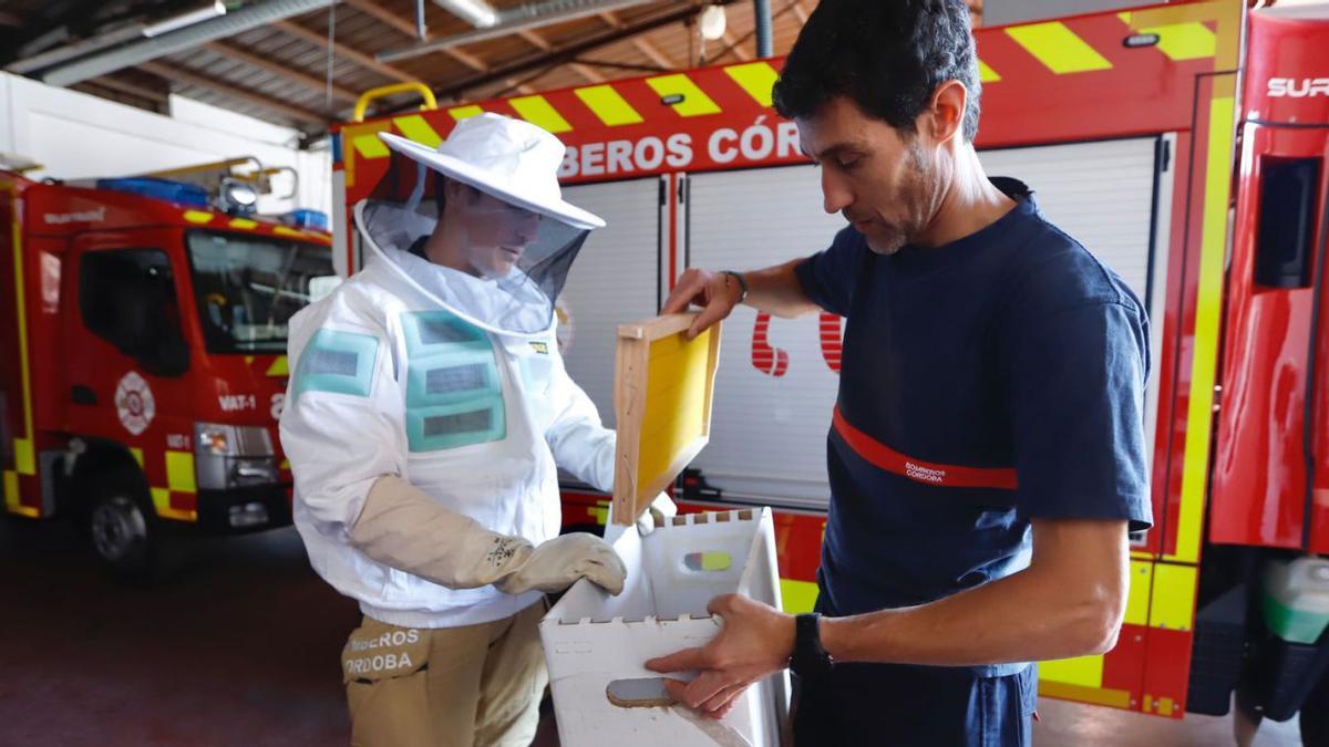Álvaro Peña y Javier Gavilán preparan una caja para el depósito de un enjambre de abejas.
