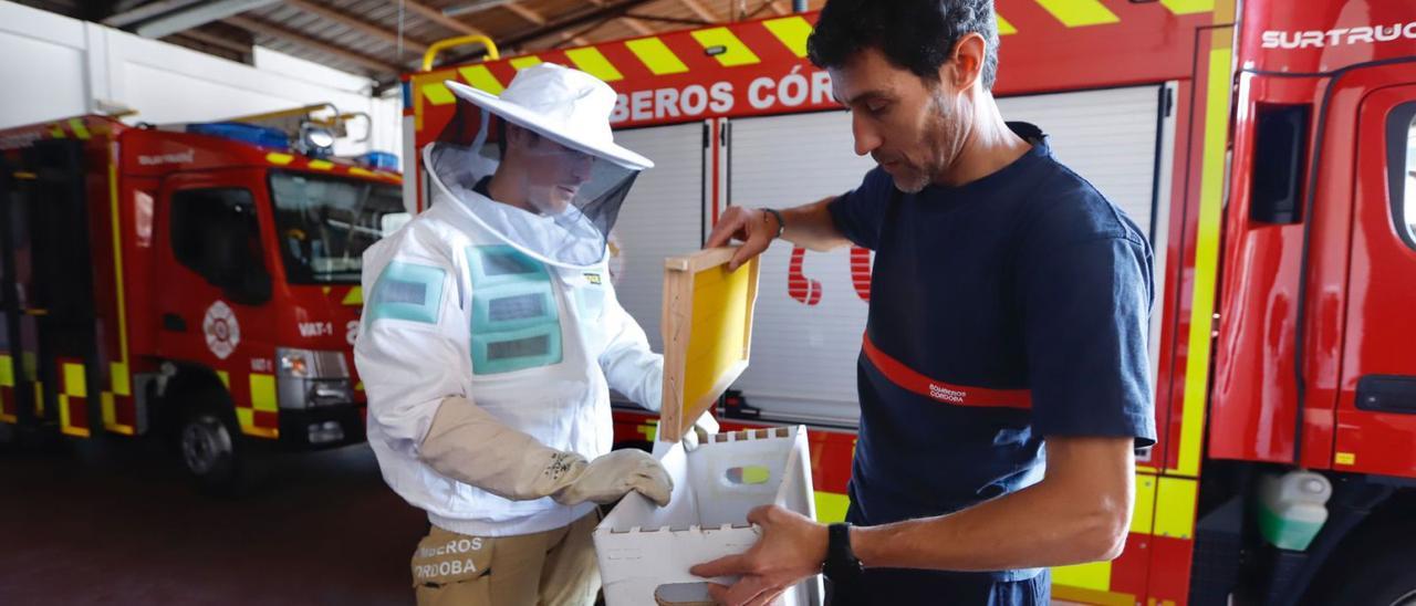 Álvaro Peña y Javier Gavilán preparan una caja para el depósito de un enjambre de abejas.