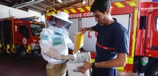 Hemeroteca | Así actúan los bomberos ante los enjambres de abejas