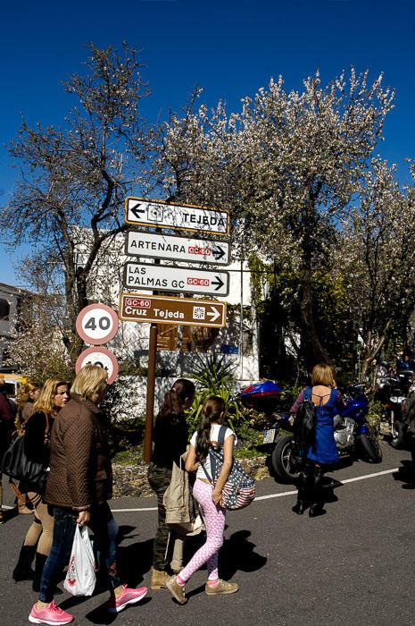 FIESTAS DEL ALMENDRO EN FLOR TEJEDA