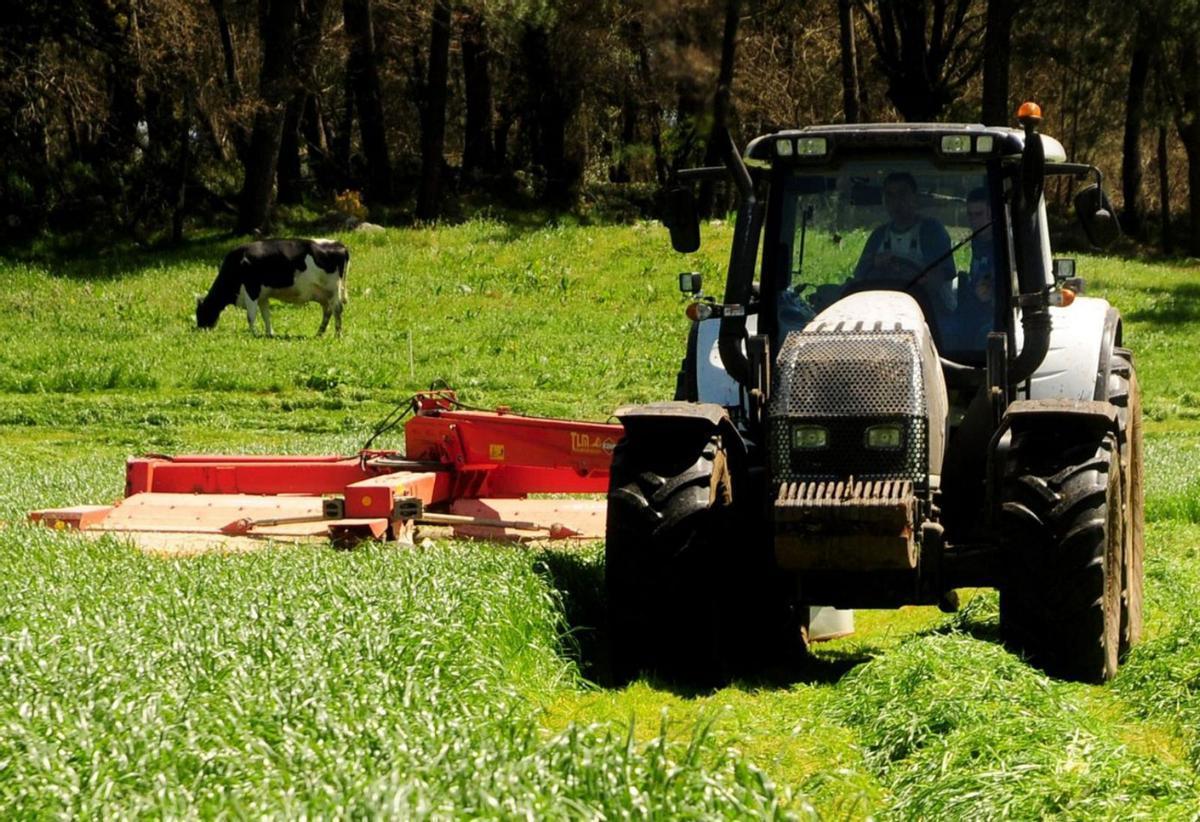 Tractor segando hierba en O Deza