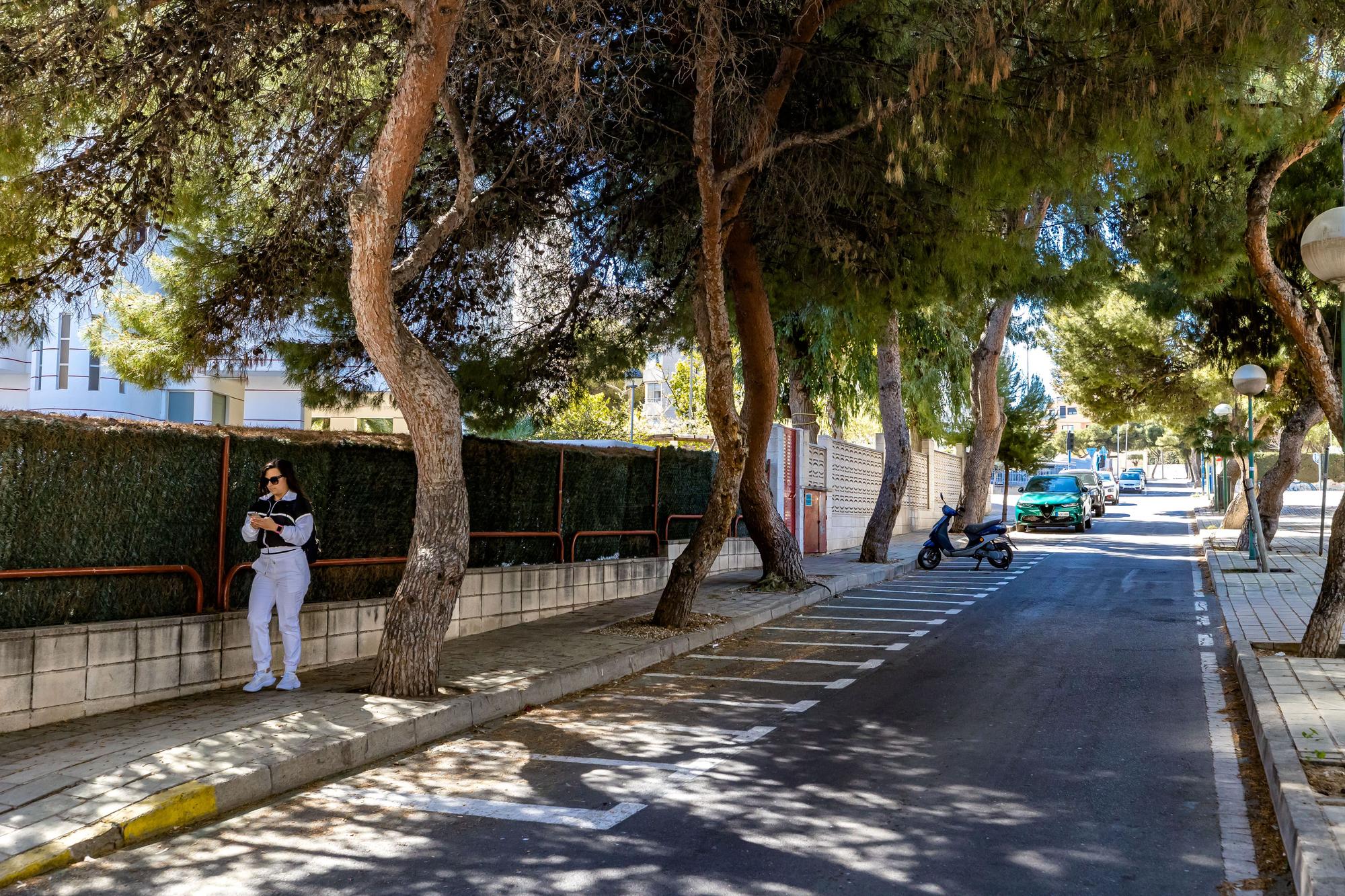 Un bosque invade una calle de la Playa de San Juan