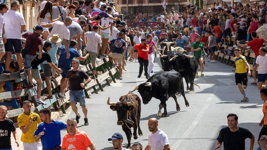 Despedida con un último encierro multitudinario en Blanca