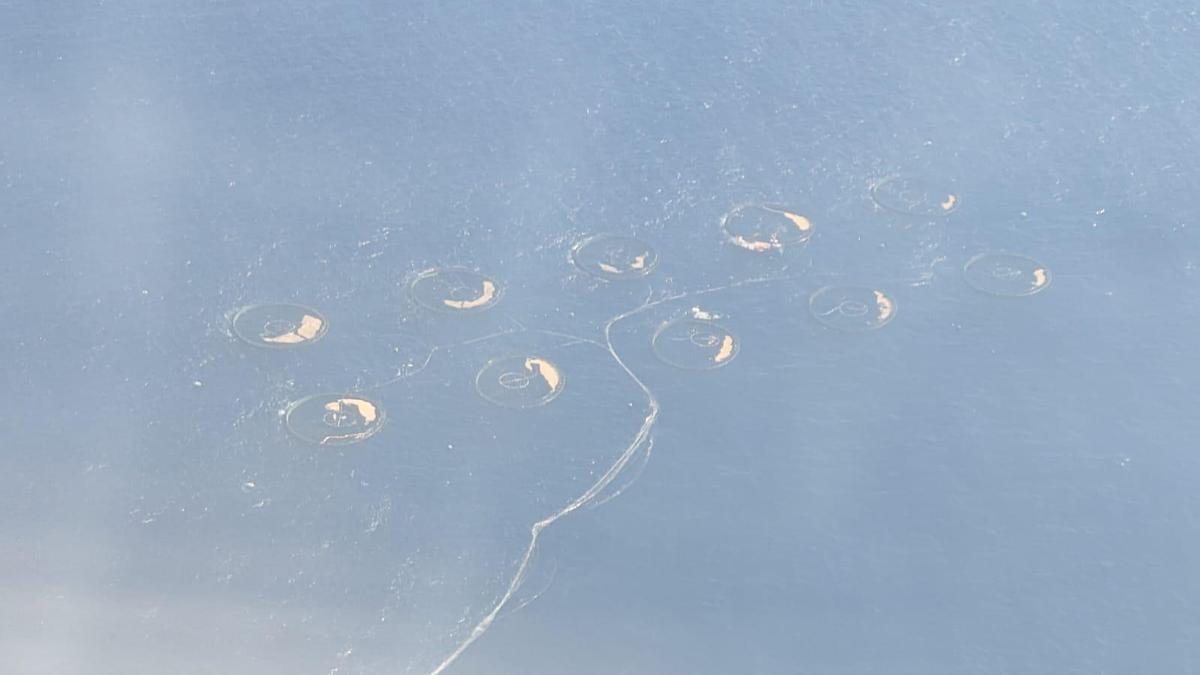 Resultado de la contaminación en las playas de Telde