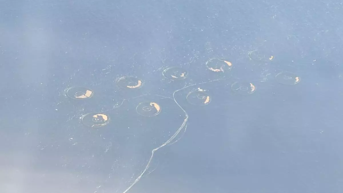 Resultado de la contaminación en las playas de Telde