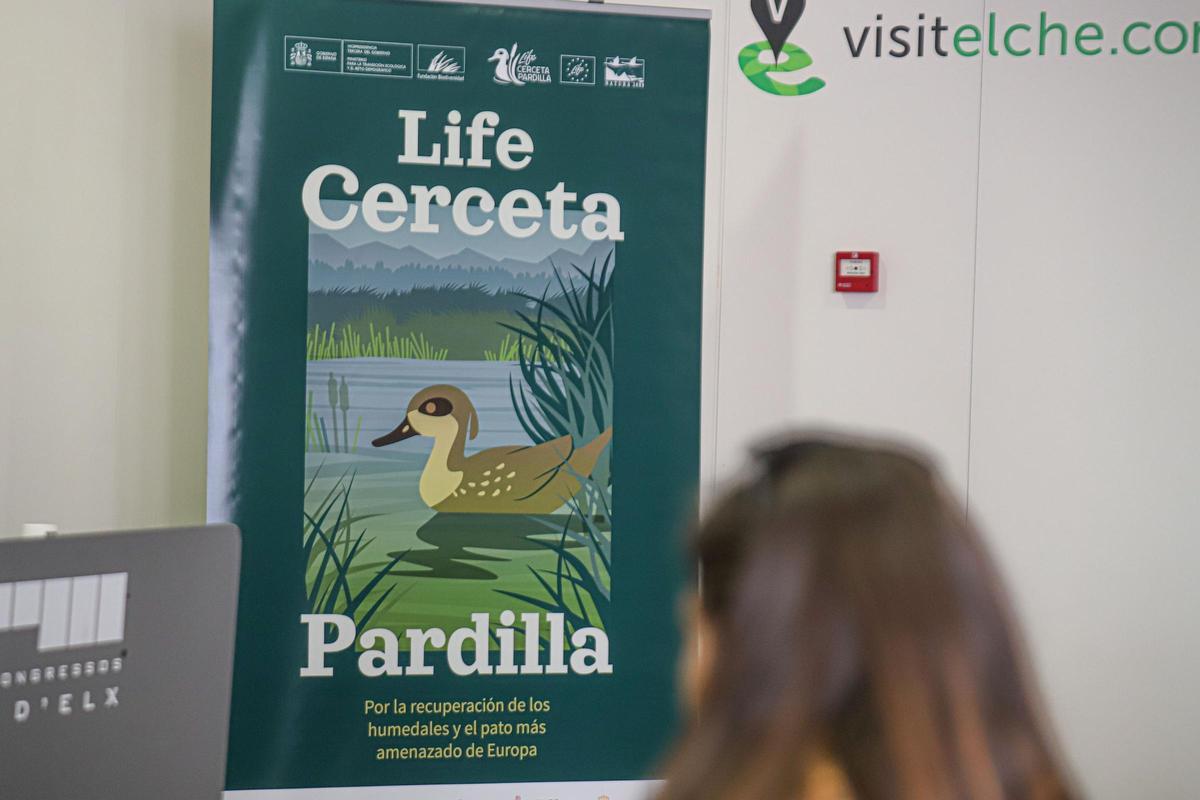 Los cazadores denuncian que la Albufera de Valencia también está en el proyecto Life Cerceta pero allí no se prohíbe la caza nocturna