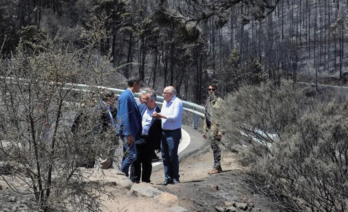 Pdro Sánchez visita las zonas del incendio de ... Pdro Sánchez visita las zonas del incendio de ...