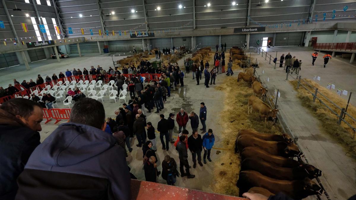 Ganaderos, en un reciente concurso celebrado en el recinto ferial de Mieres.
