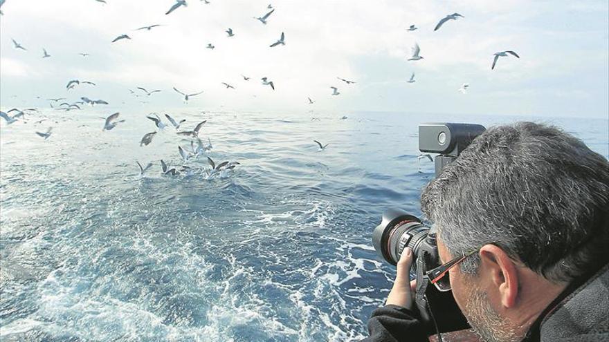 Vinaròs organitza el I curs de fotografia de la natura