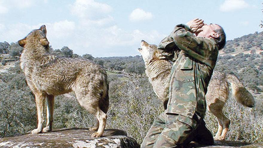 Marcos R. Pantoja, aullando con lobos.