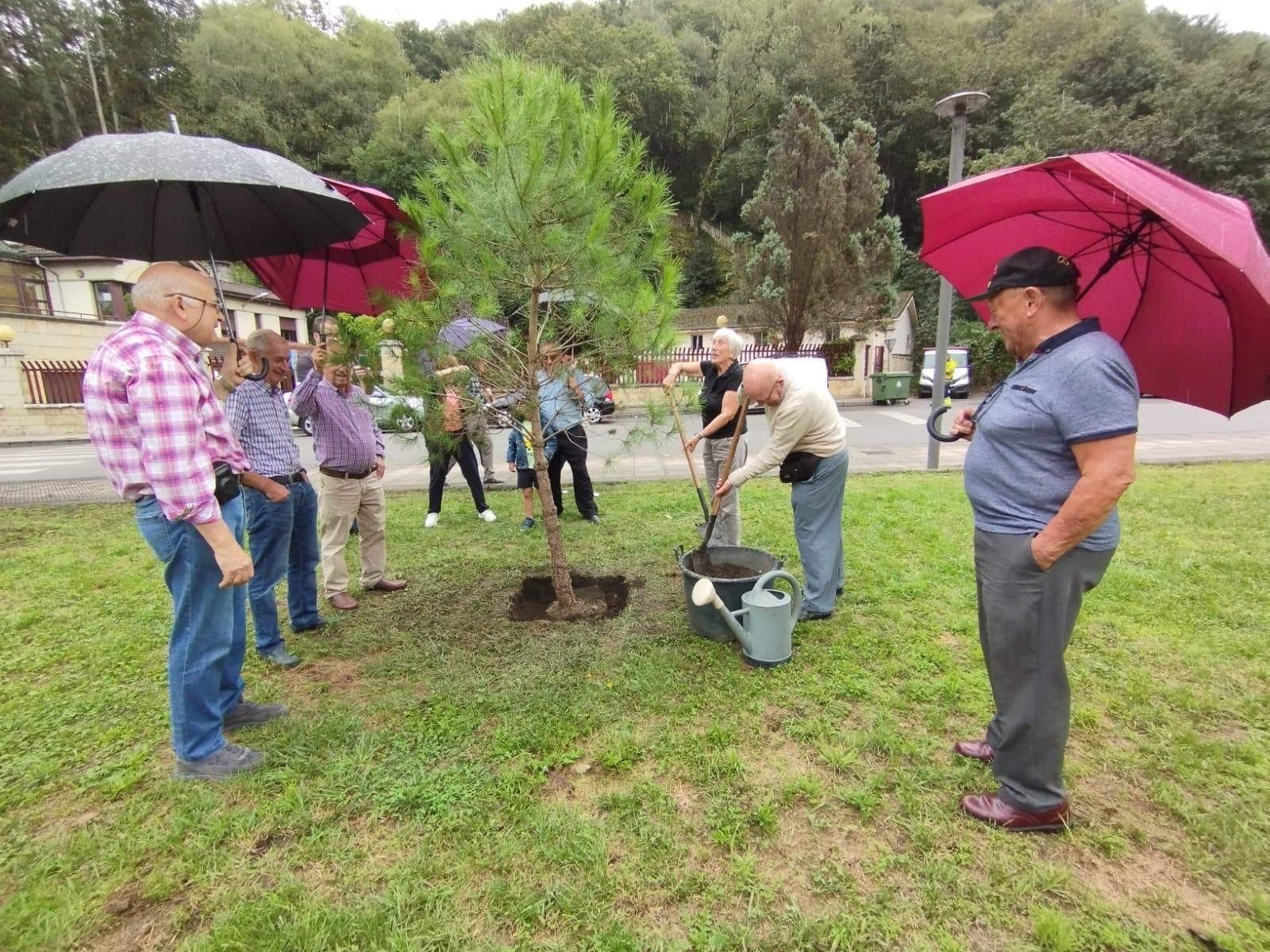 El bosque de la emigración de Langreo crece