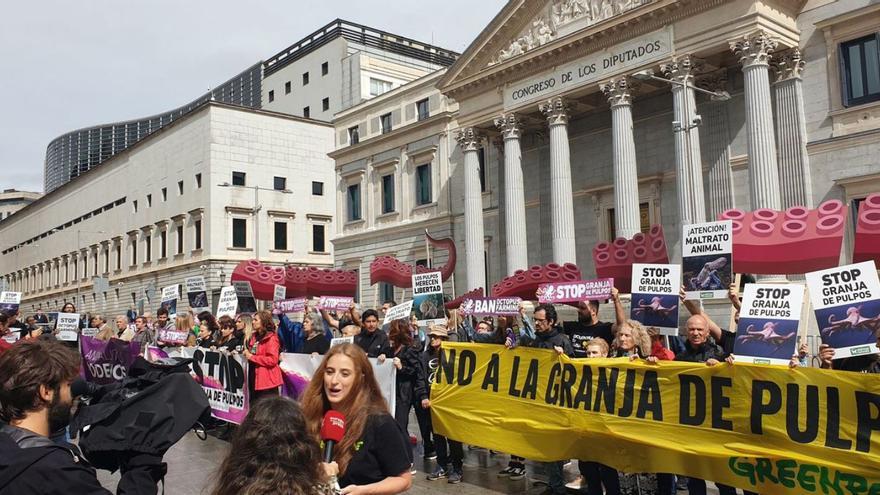 Ecologistas protestan contra la granja canaria de pulpos de Nueva Pescanova