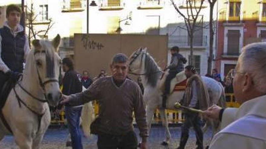 Bendición  de animales  en Alcoy