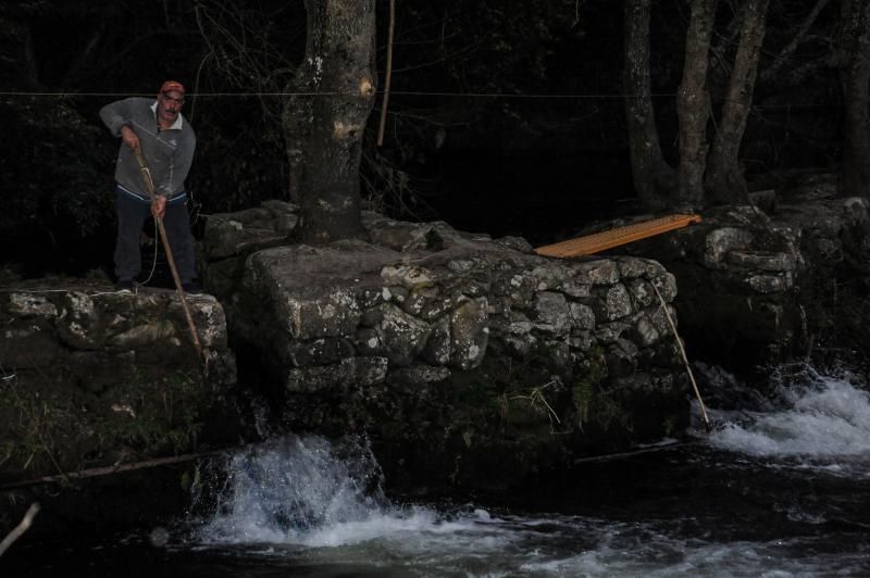 El arriesgado trabajo en las pesqueiras del Ulla.