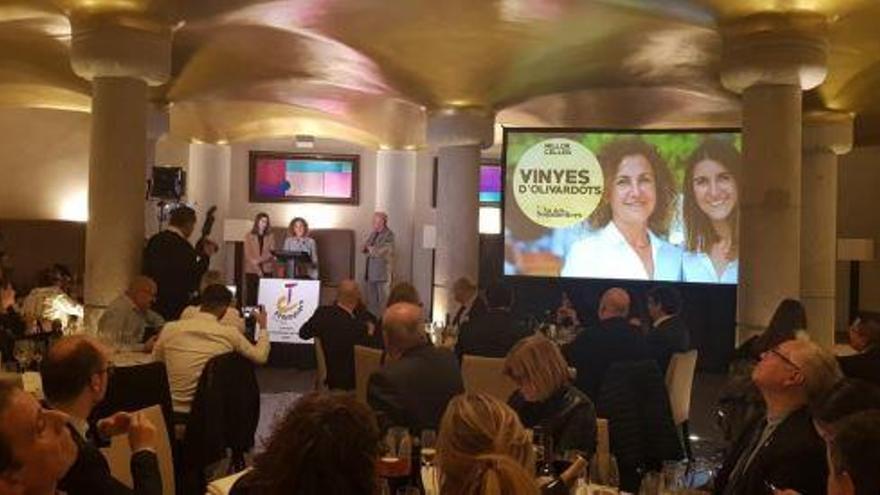 El Celler Vinyes d&#039;Olivardots rep el premi al Millor Celler de Catalunya 2019