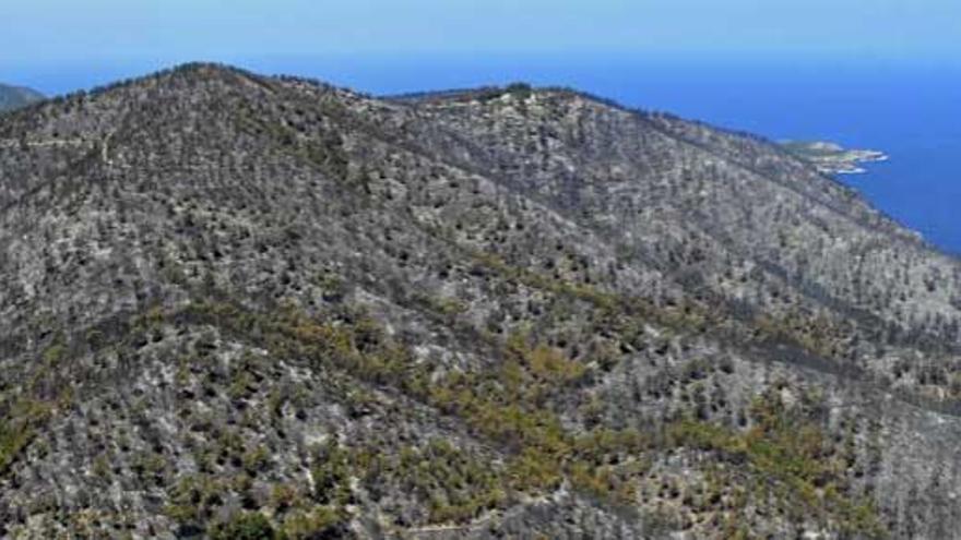 Imagen aérea de la superficie quemada en la isla de Ibiza.