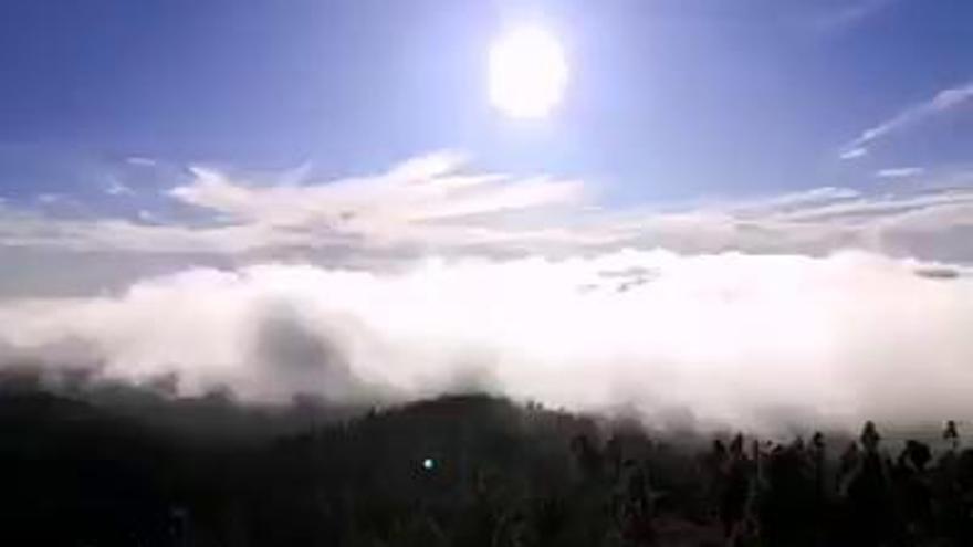 Tiempo en Canarias | Así está el tiempo en el Mirador del Pico Pozo de Las Nieves