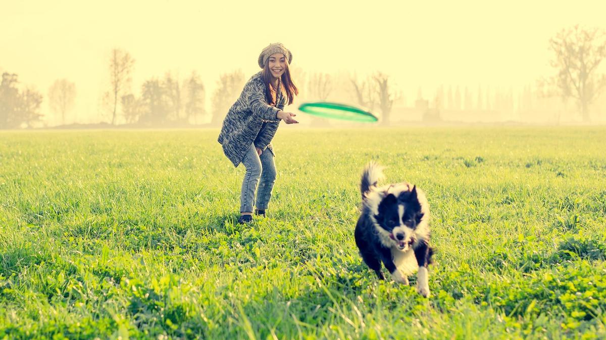La importancia del juego es fundamenal para perros y personas