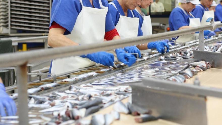 Armadores, cofradías y conserveras cargan contra la rebaja de la cuota de sardina en Galicia: «Existe un riesgo real para asegurar el empleo»
