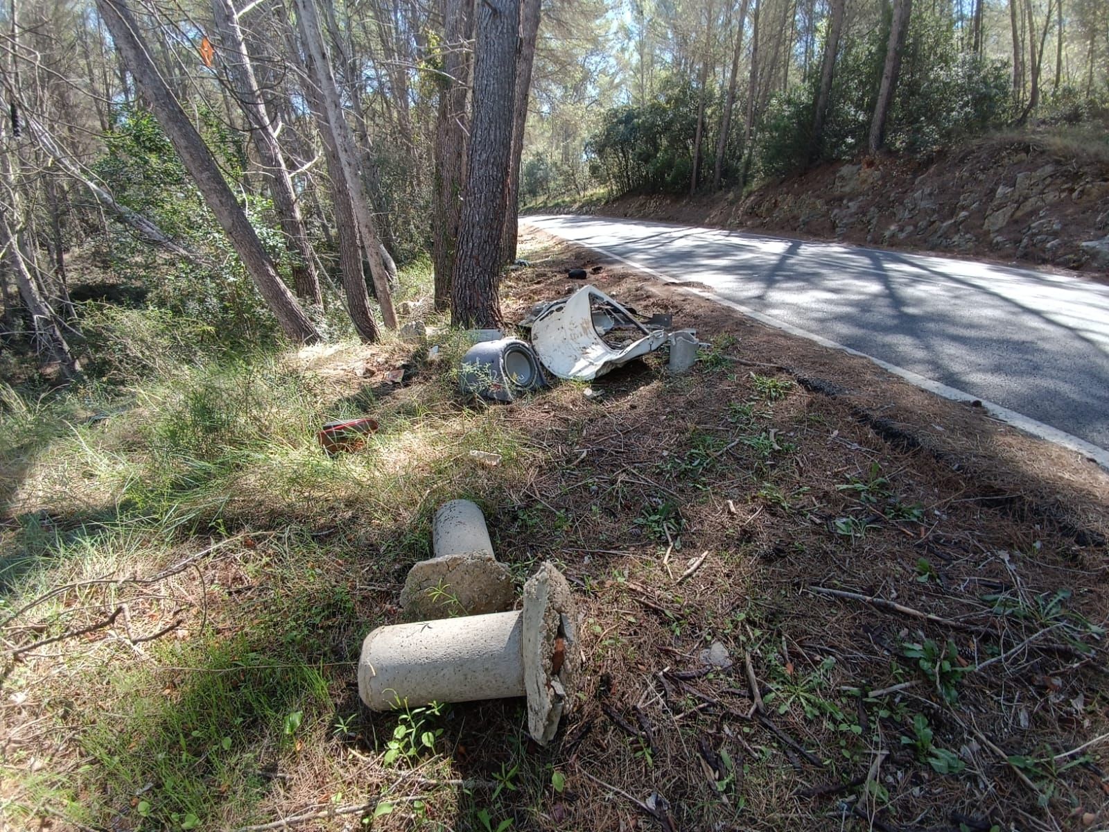 Dos jóvenes fallecen al chocar con su coche contra un árbol en la carretera de Puigpunyent